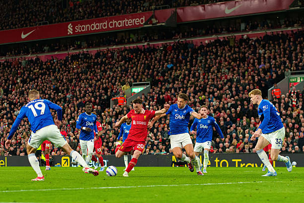 球迷的赞誉 球迷的赞誉